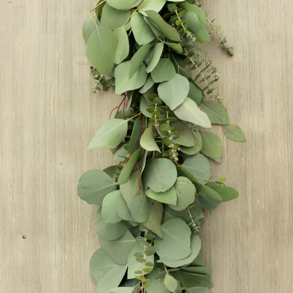Primrue 72'' in. Fresh Eucalyptus Garland Wayfair